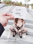 重磅推薦！淫盪肥臀人妻母狗【見過騷的 沒見過這么騷的】喜歡戶外露出，喜歡被很多男人操