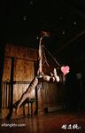 新束縛藝術色影唯美私拍 把極品女神捆綁成粽子 請君品嘗 極品身材 各種捆綁 高清