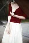 【网红摄影】重磅！整合28位超强摄影+极品网红 超给力，抖叔 希威社 戴菲妮 野叔 无尘 等各类